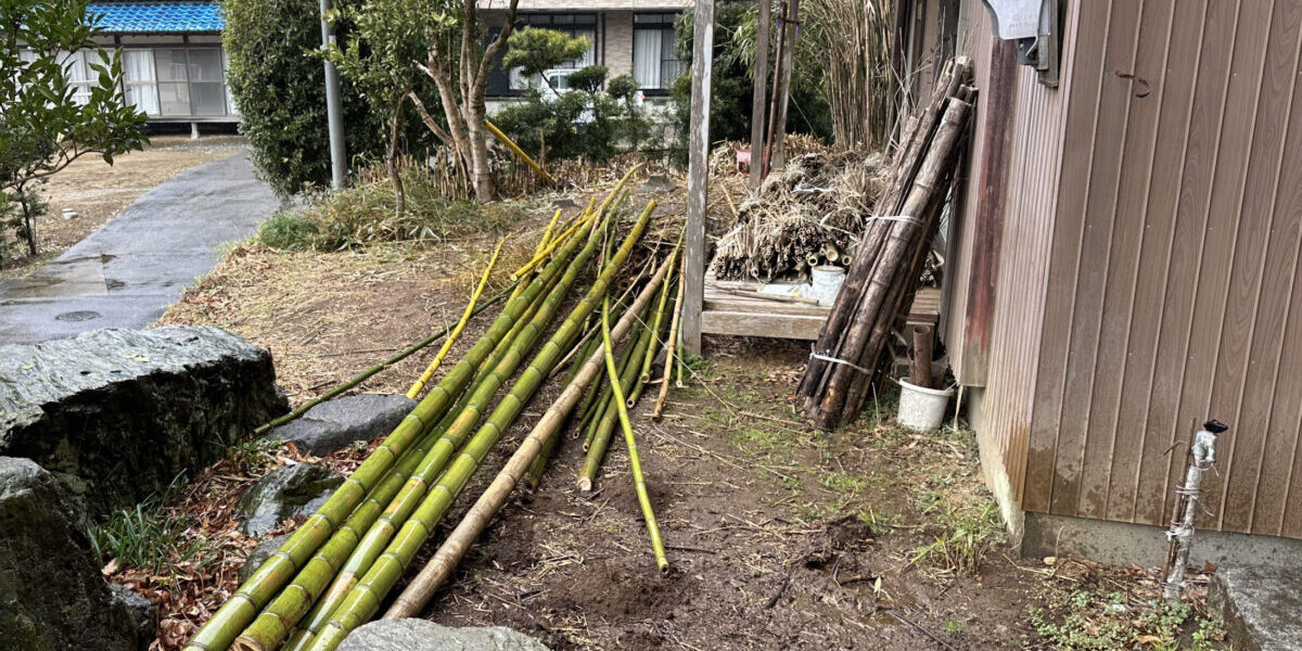 雨の日の真竹伐採