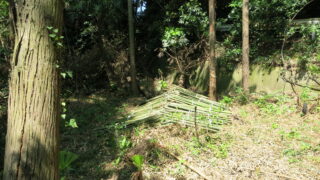 竹を日の当たる場所で干す