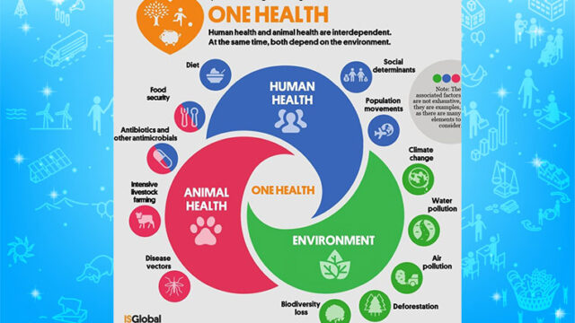 https://www.isglobal.org/en/-/one-health-una-sola-salud-