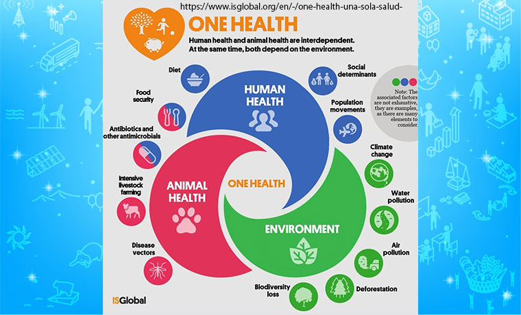 https://www.isglobal.org/en/-/one-health-una-sola-salud-